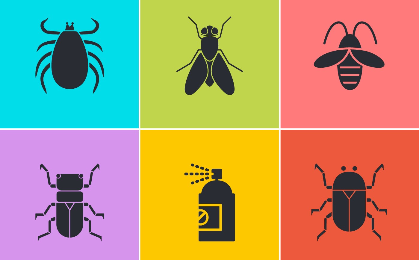 CC Pest Control has a range of pest management solutions for your home or business.